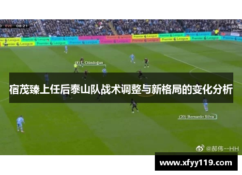 宿茂臻上任后泰山队战术调整与新格局的变化分析