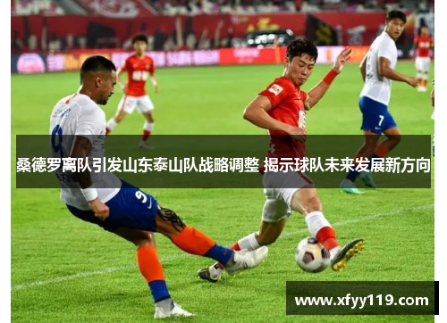 桑德罗离队引发山东泰山队战略调整 揭示球队未来发展新方向