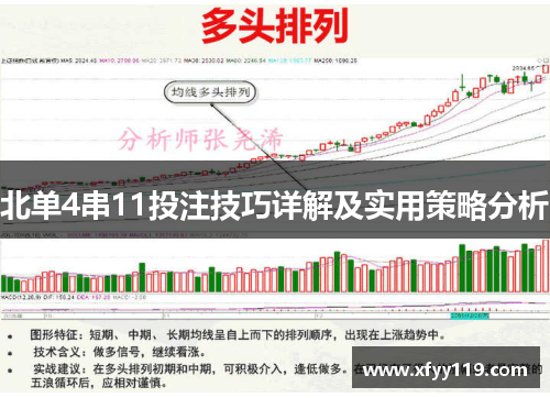 北单4串11投注技巧详解及实用策略分析